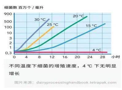 南风天 | 莫让厨房变成细菌"培养皿"_繁殖_污染_酵母
