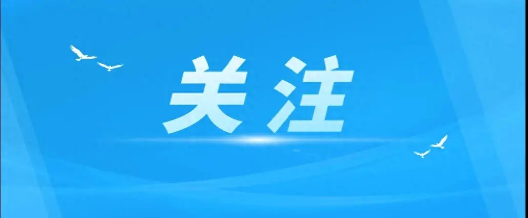 基本案情2022年4月至2023年2月,消费者朱女士多次在成都市金牛区品莎