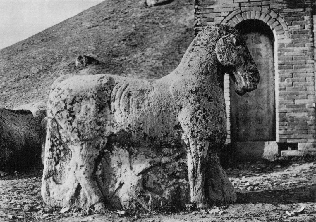 考古发掘不易,西洋镜珍贵照片揭秘_墓葬_谢阁_中国