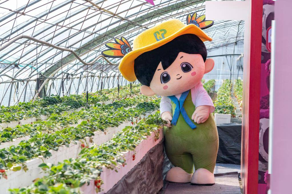 甜蜜暴击这个春日来大场将莓好带回家文末有惊喜