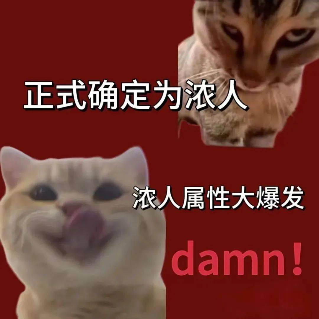 你怎么这么可爱!宝贝我真的爱死!」说话浓浓的「我不一定是最帅
