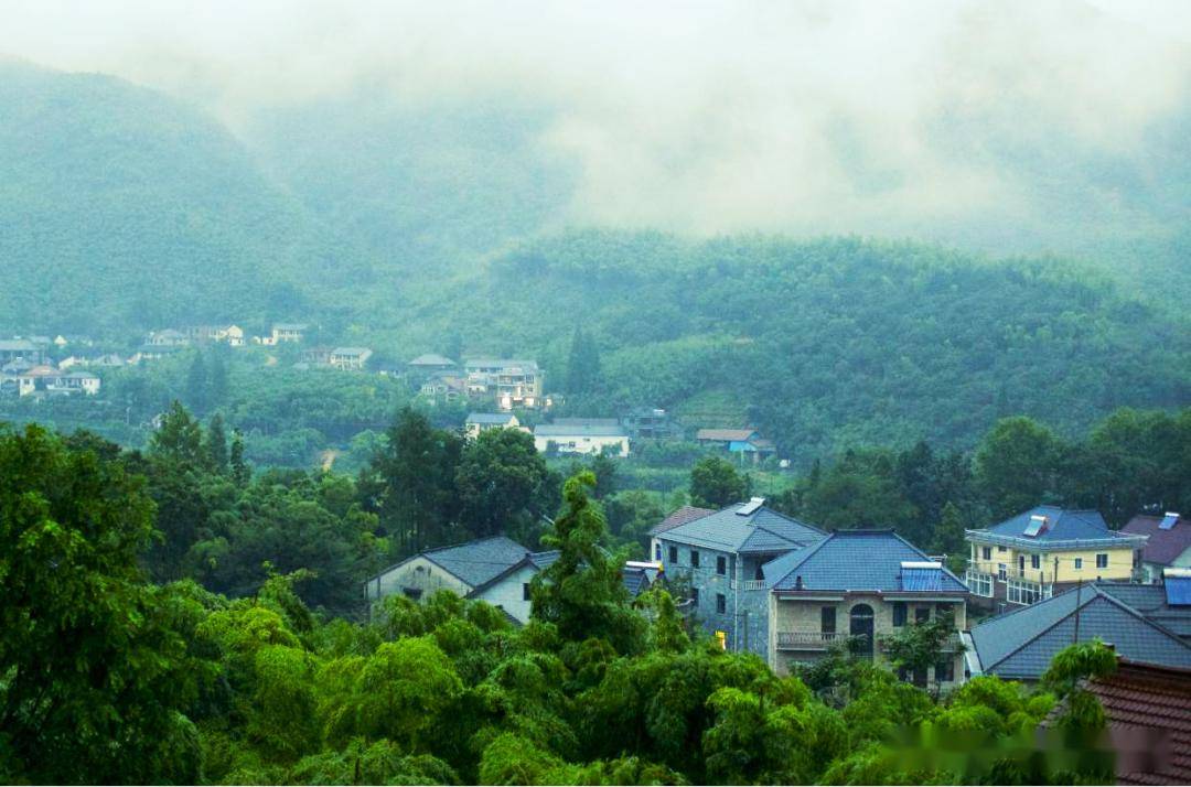 乡村振兴:这个小山村,以"国企 镇 村集体"模式_潭村_业态_建设