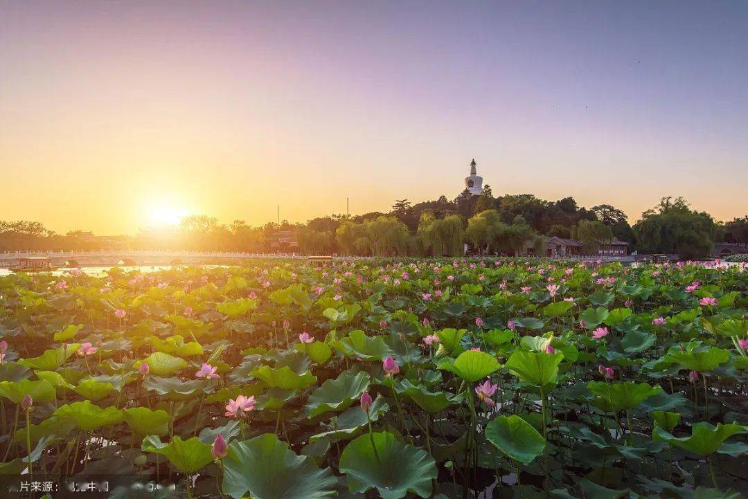 温带季风气候,硬核北国_中国_东北_地区