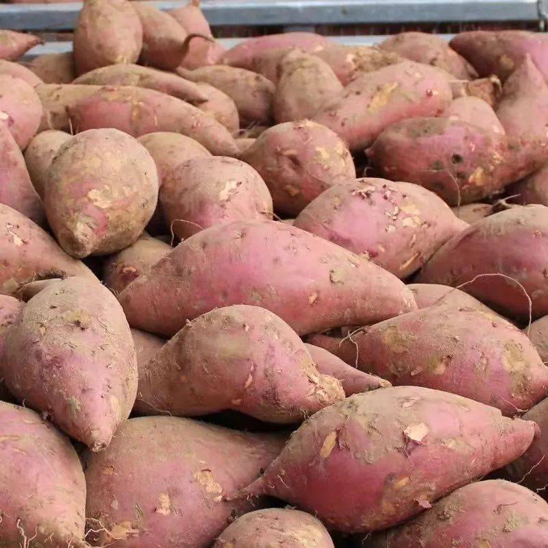 全球公认十大健康食品第一名家家都有