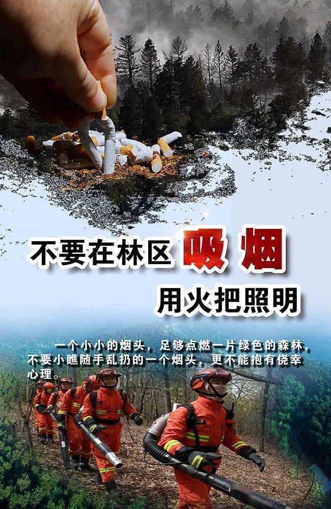 67森林草原防火这些知识请掌握