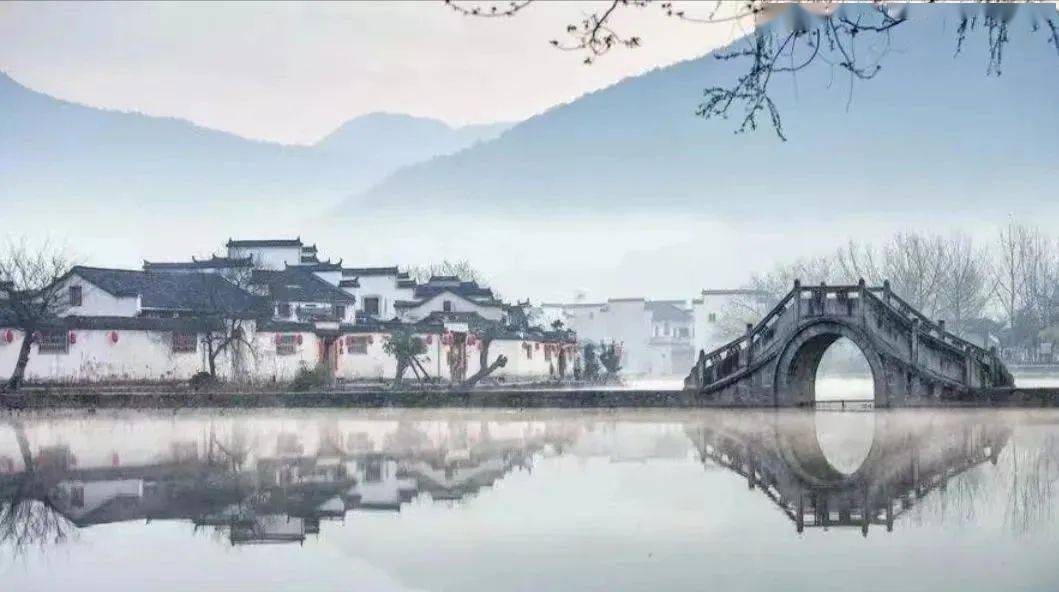 同图诗展莲心栖息地2024年第5期