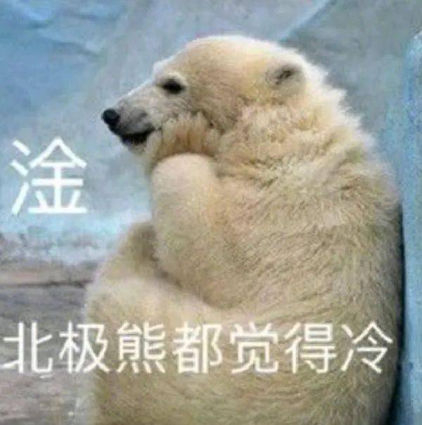 头像表情包144_侵权_生活_底气