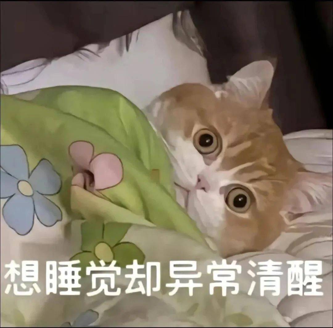 搞怪表情包no0316