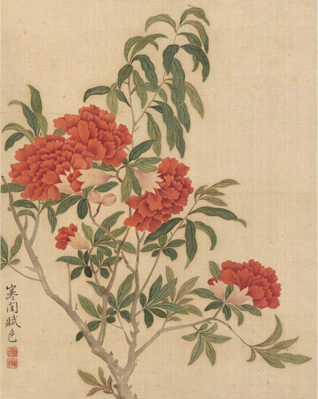 他画册清恽冰花卉十开