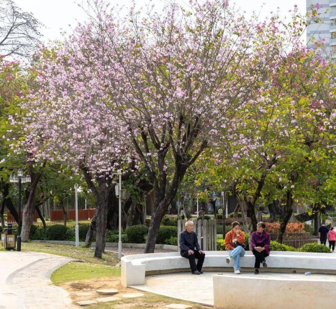 火爆全网的公园20分钟理论是真的快到汕头这些公园来一场快充