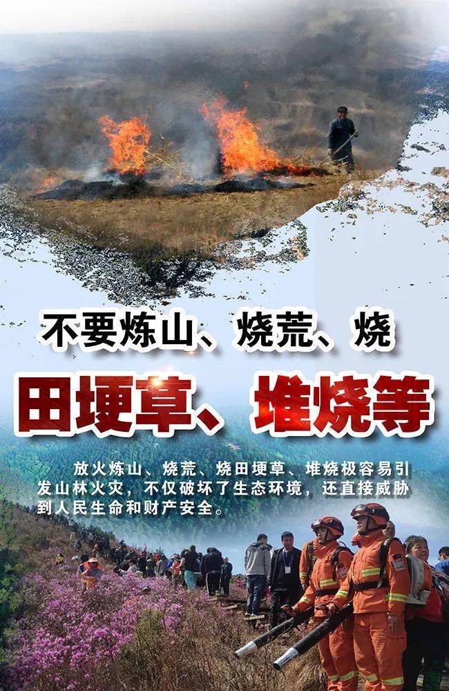 67森林草原防火这些知识请掌握
