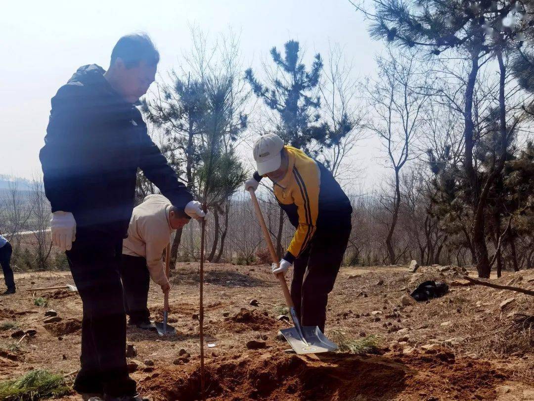 植此新绿正当时市社保中心开展义务植树活动