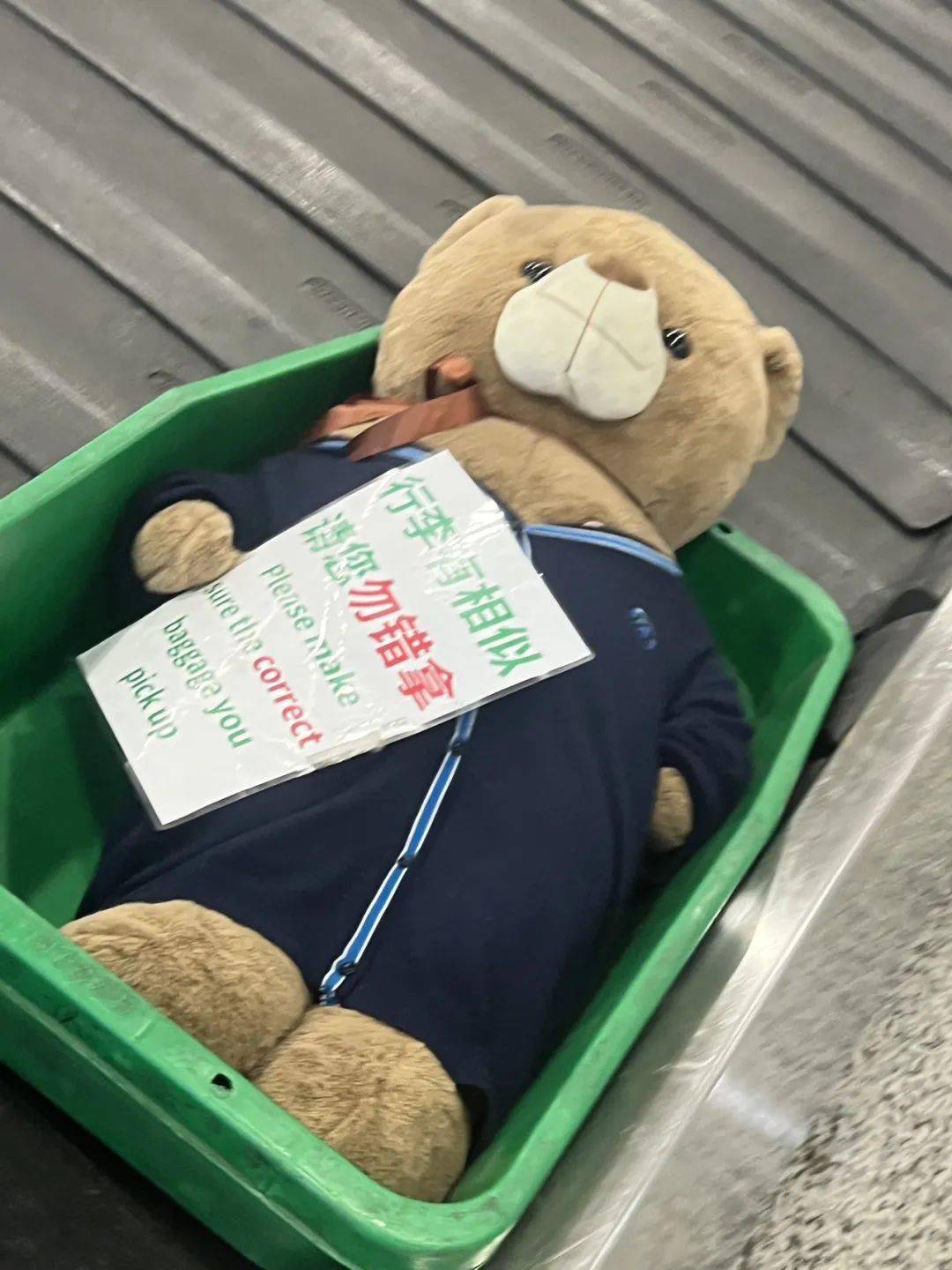 这一切都要从我想省下500块钱说起