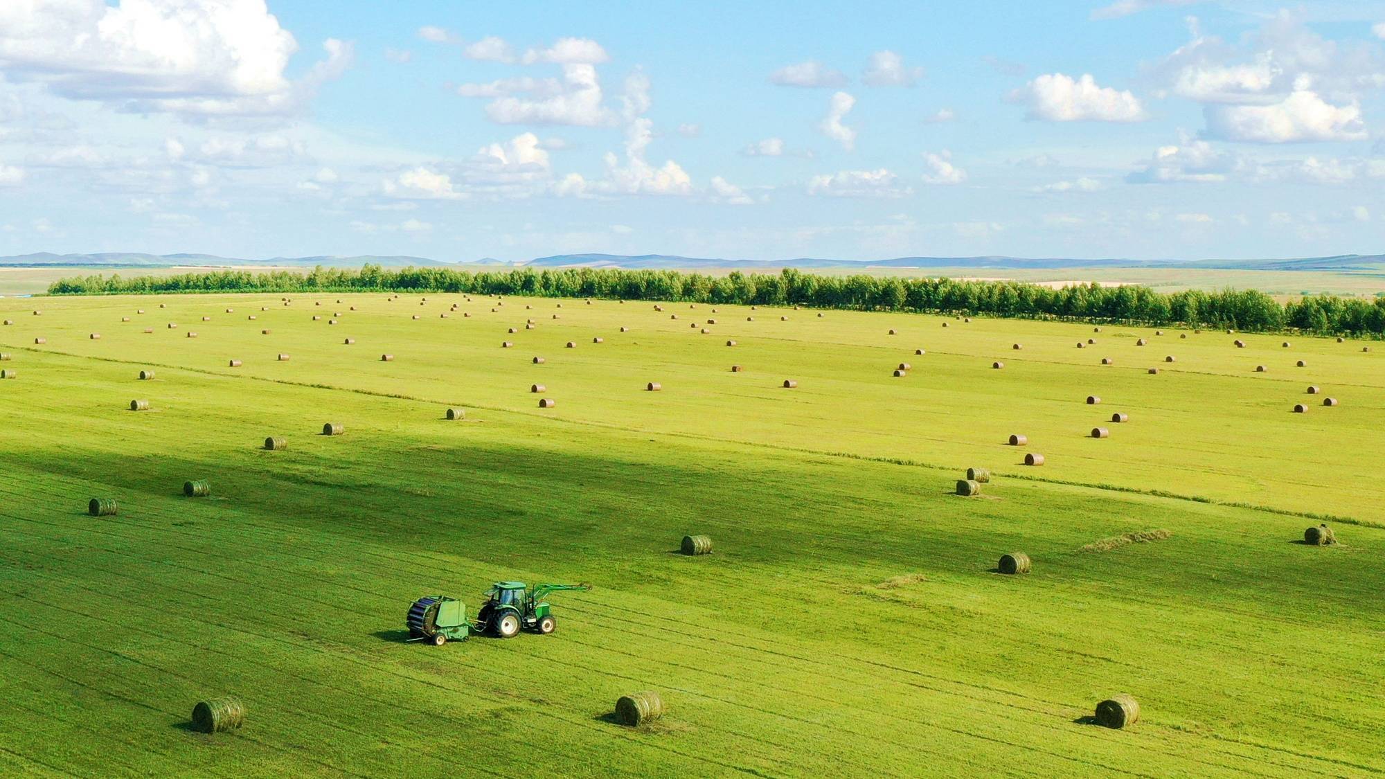 从一棵草到一条链呼伦贝尔农垦特泥河农牧场公司推进草畜一体化高质量