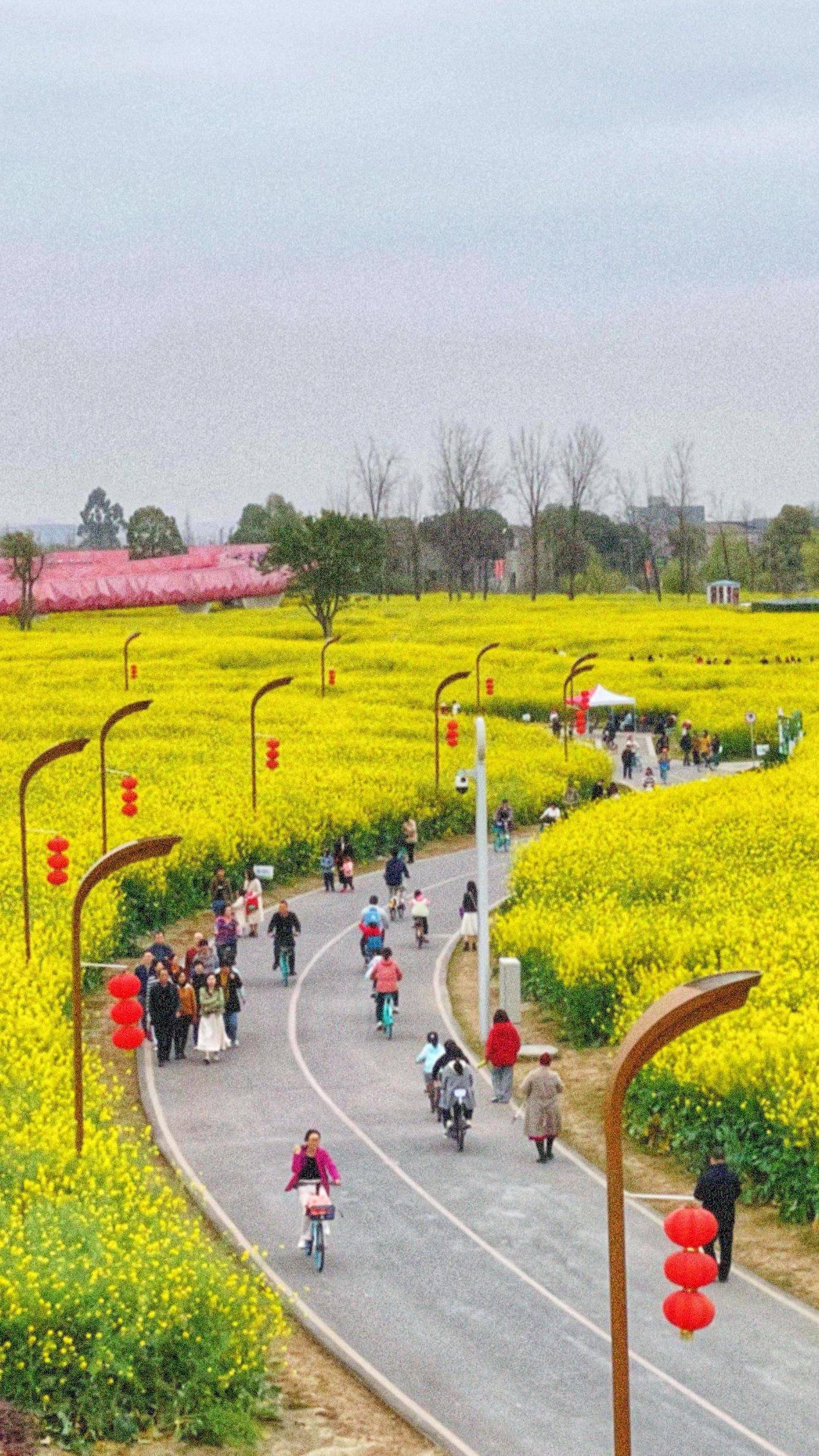 赏花图踏青图片