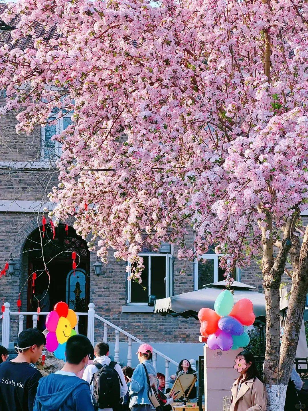 原创音乐人大集结第二届五大道海棠花节邀您共谱花漾乐章