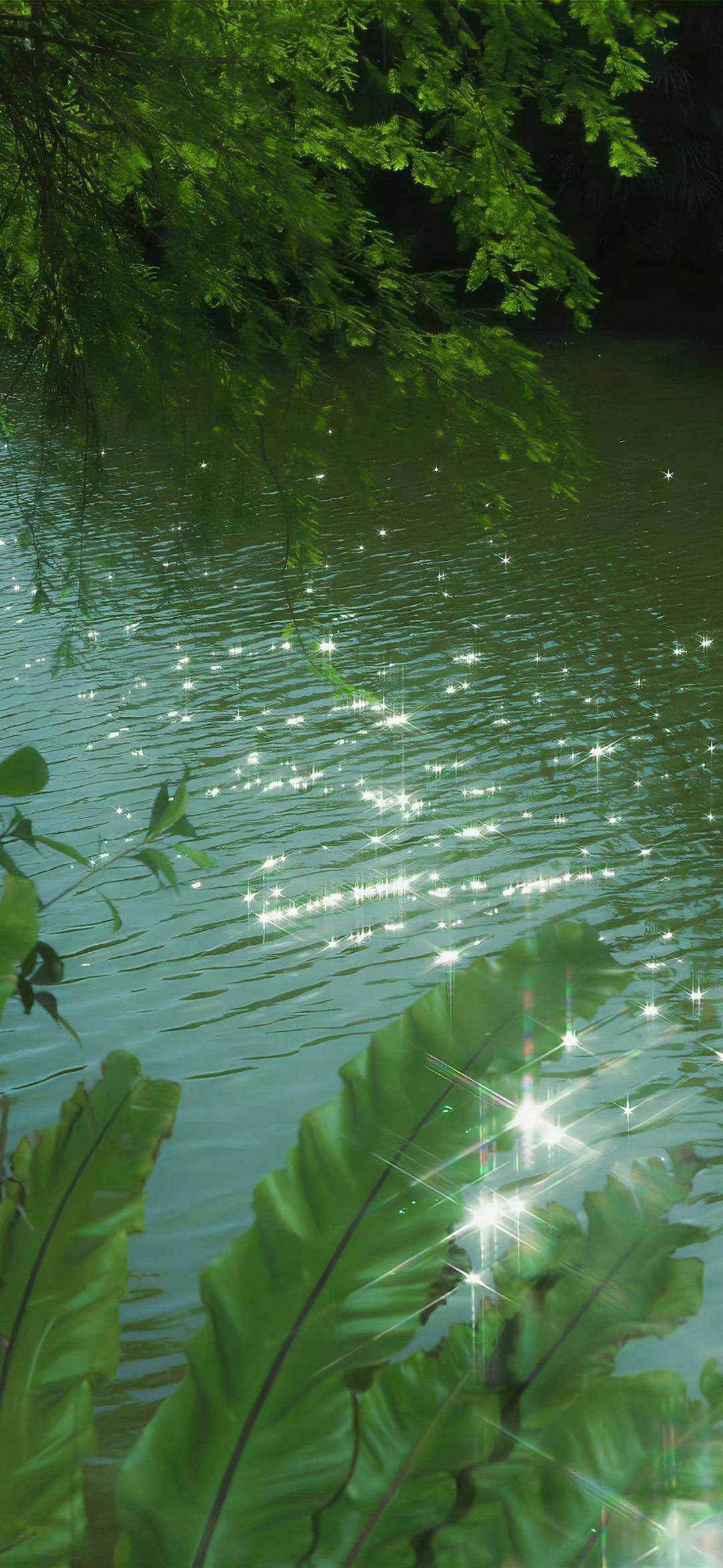 一些可爱的头像和壁纸