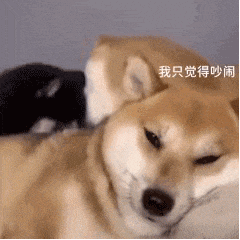 我擦,你真的nb_表情_微信_方法