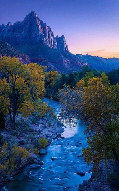 美到极致的摄影美到销魂