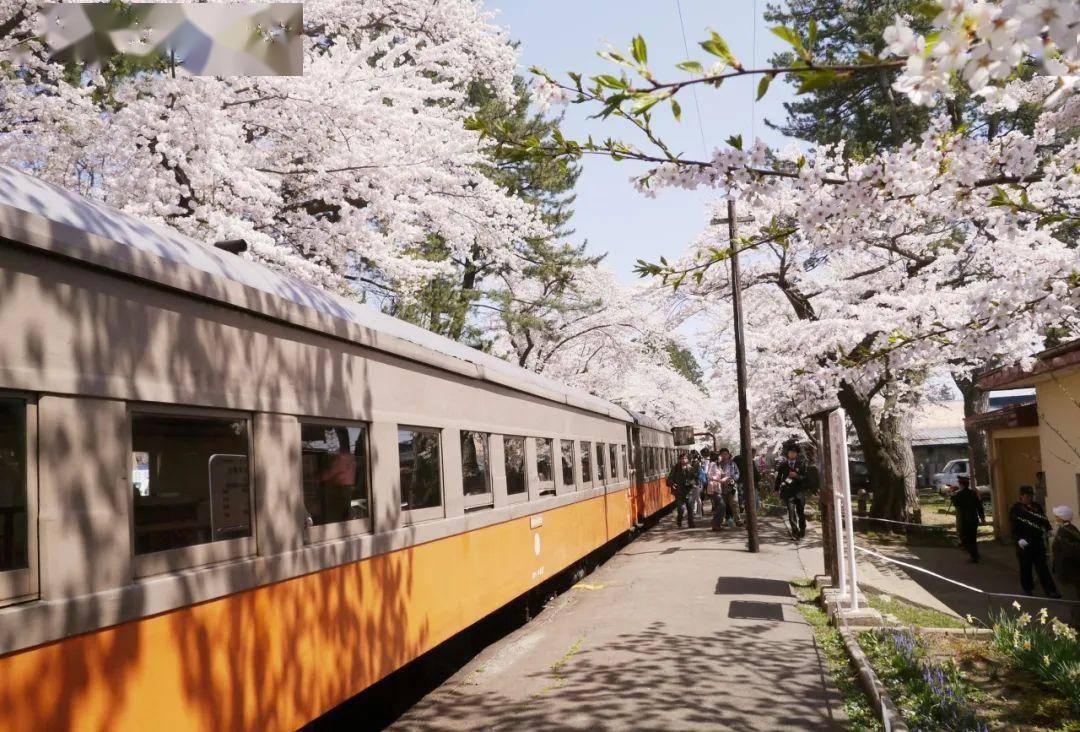 乘坐樱花小火车,去最远的地方看最美的风景～_日本_运行_列车