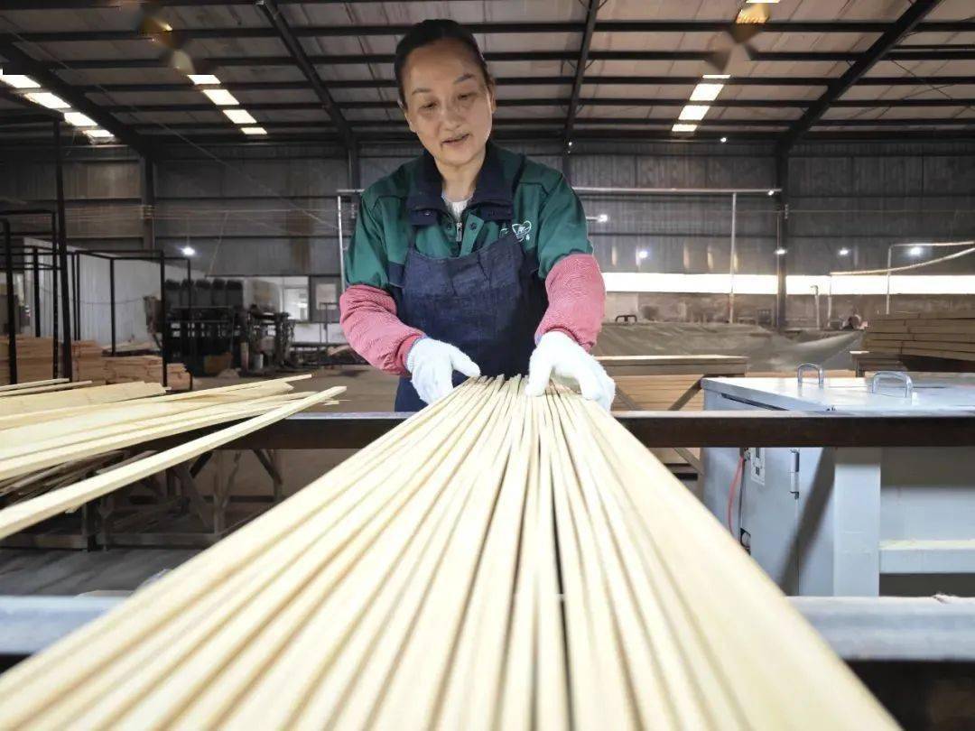 【绿色发展】以竹代塑,绿色发展的赤水探索