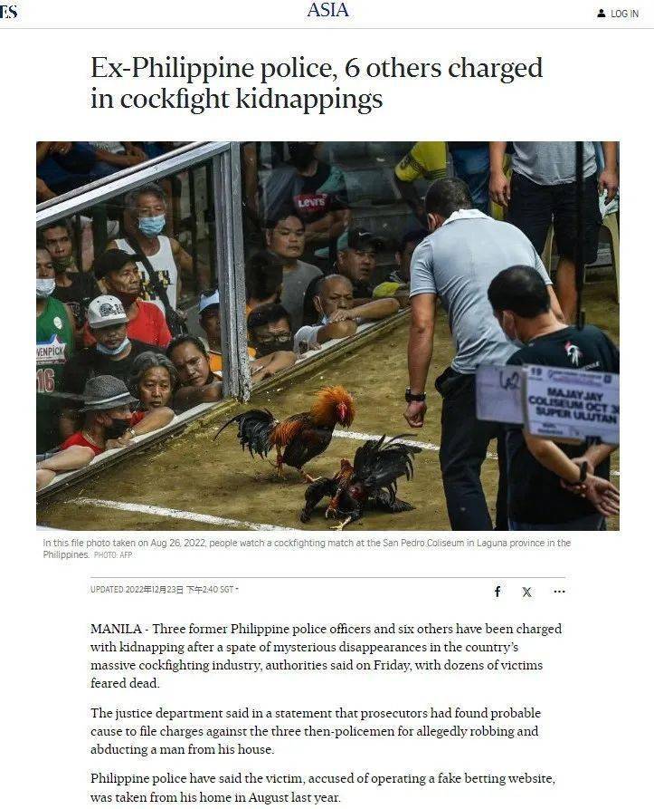 血腥的斗鸡产业 | 泼天富贵背后是不断失踪的斗鸡者__