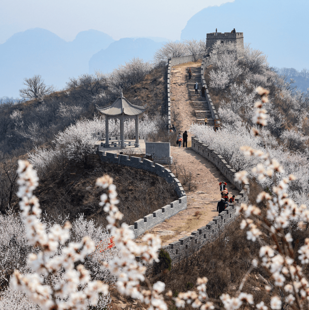 九龙峡桃花谷图片