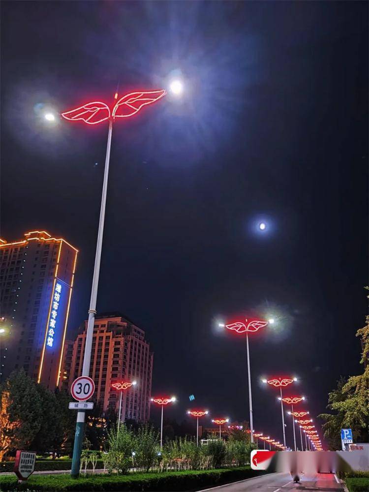 灯杆与行道树间距不小于3米潍坊市城市照明规划建设管理导则出台