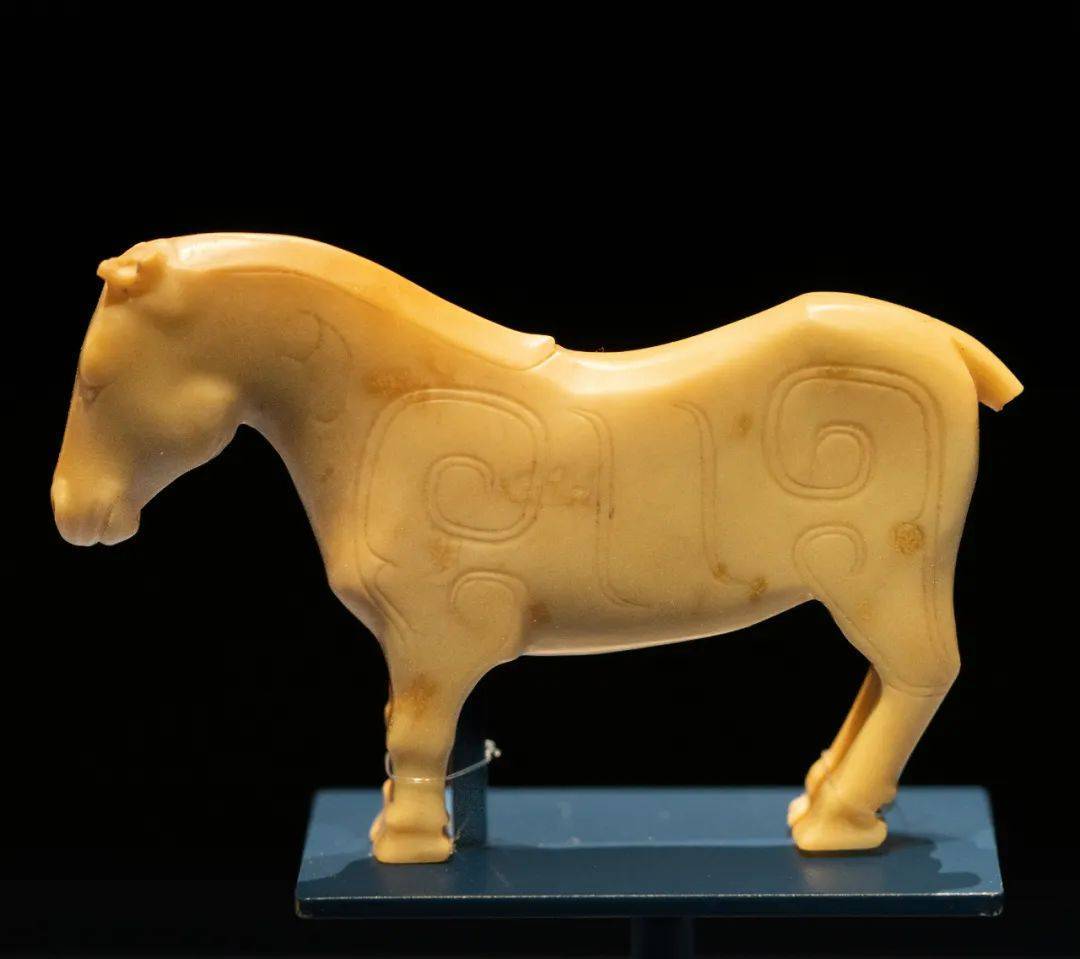 动物考古学家袁靖入坑三十年细讲那些精彩瞬间访谈