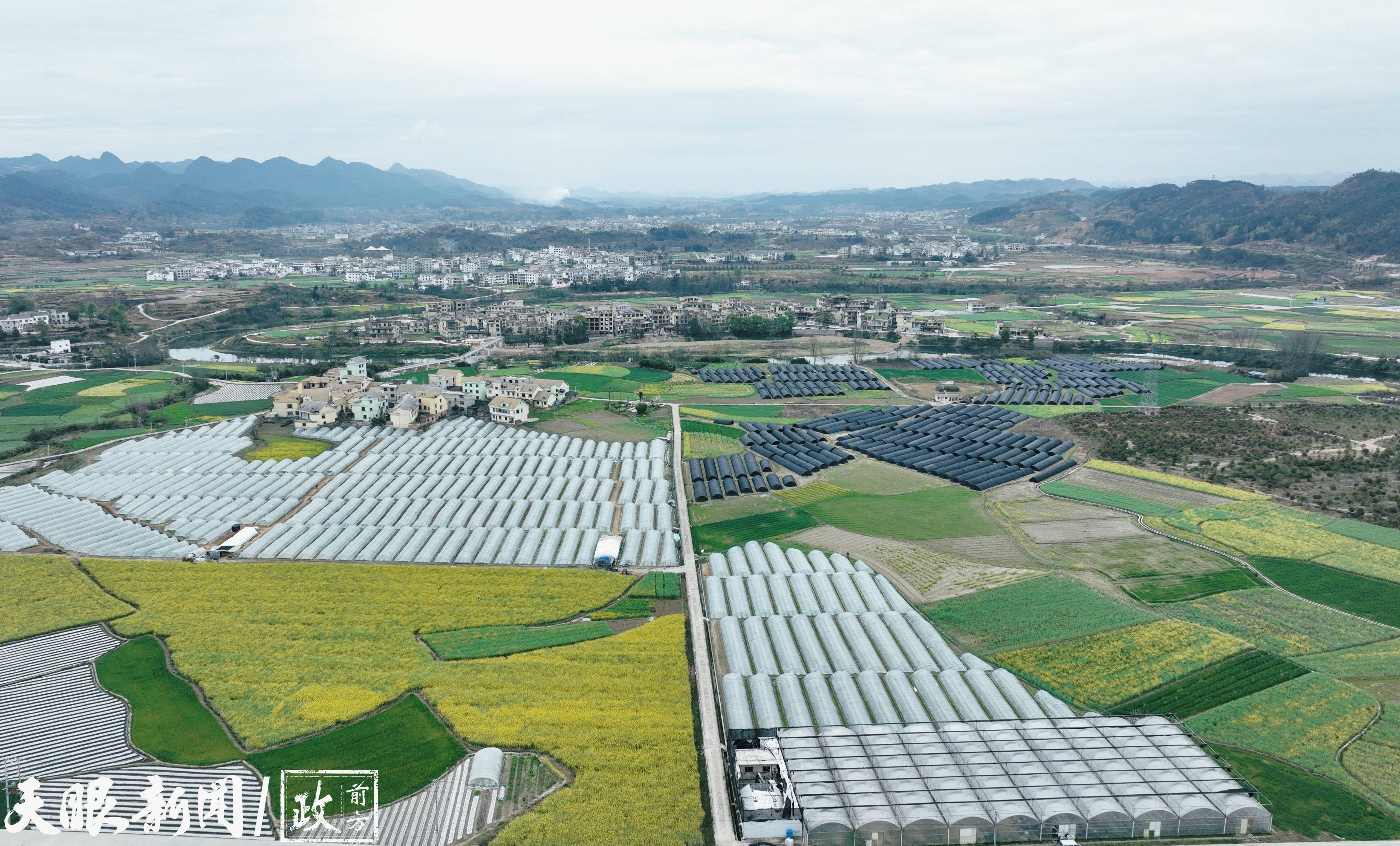 一犁闹春耕风动花好红惠水县春耕春管一线见闻