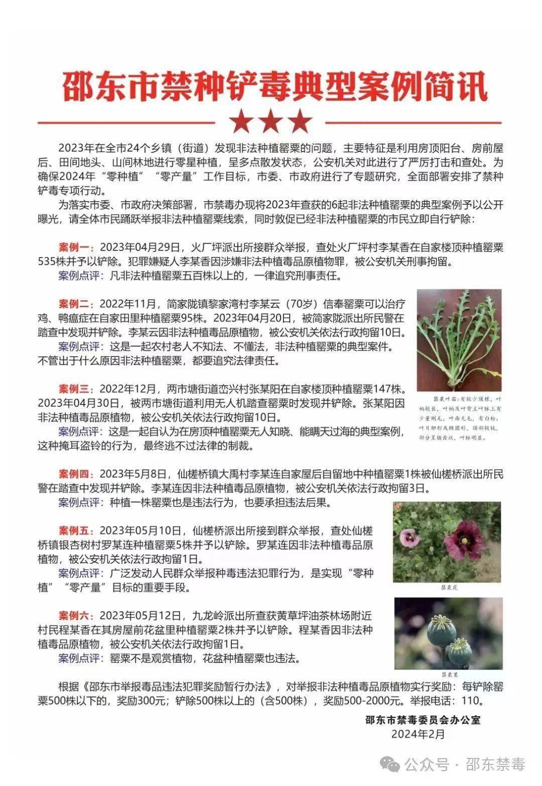 《邵东市举报毒品违法犯罪奖励暂行办法,对举报非法种植毒品原植物