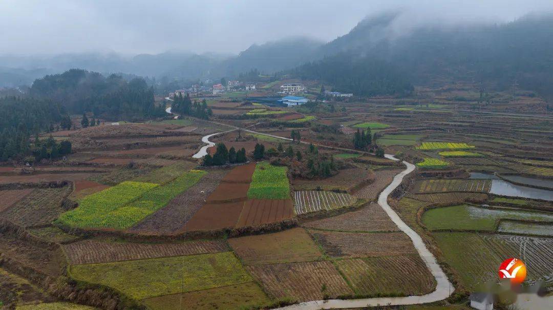 新菇事赤松茸在长乐乡试种成功