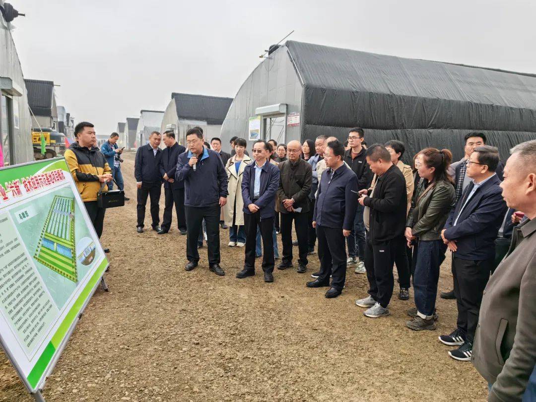 山西省现代农业蔬菜产业技术体系——强化高效科技引领 助力产业提档