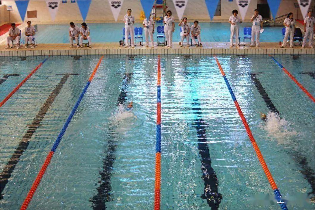 361名小选手齐聚一堂,小泳池里赛技能_游泳_比赛_赛事