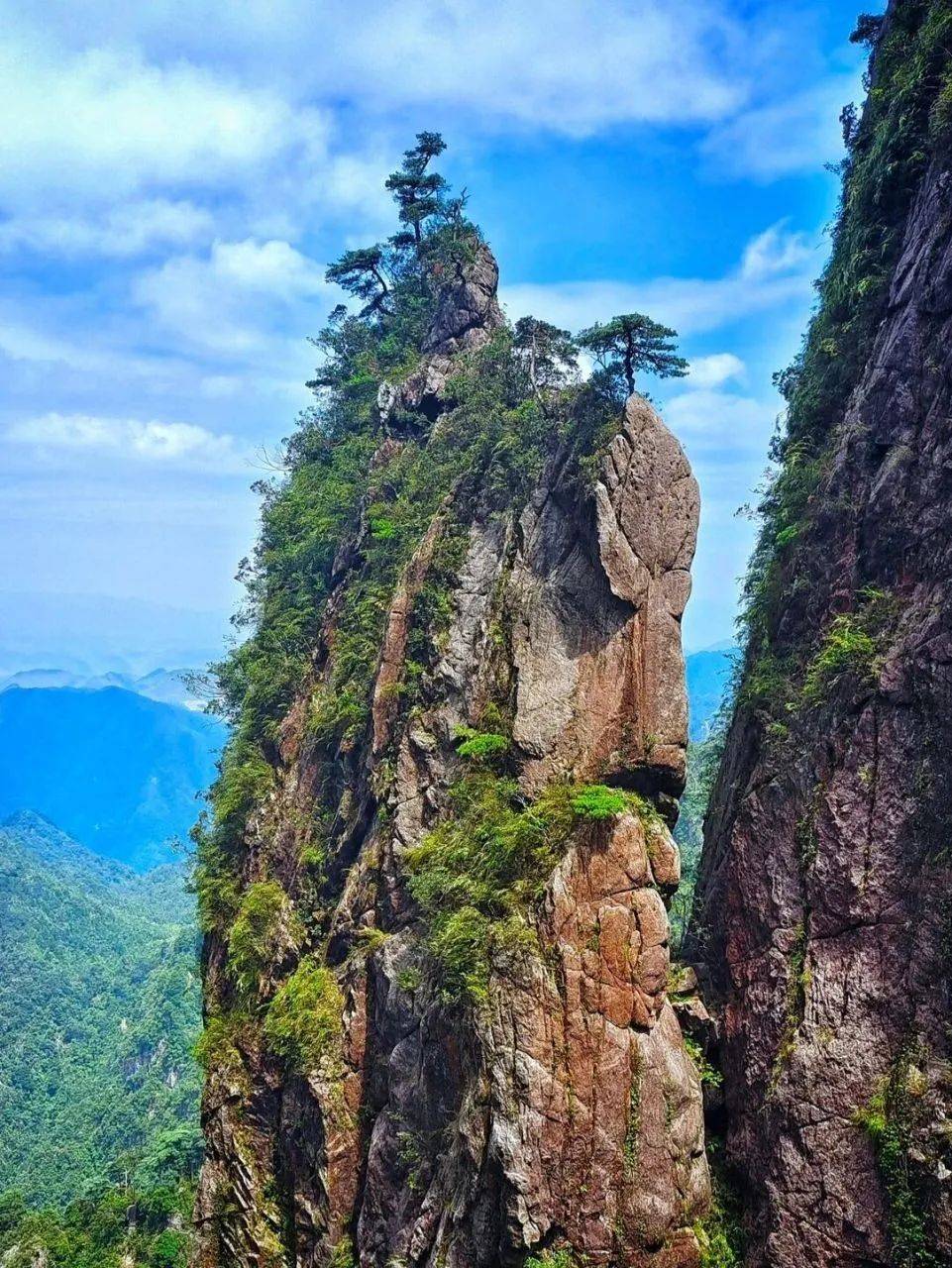【国旅自组】含接送,派全陪|4月20日出发 61 打卡   莽山五指峰