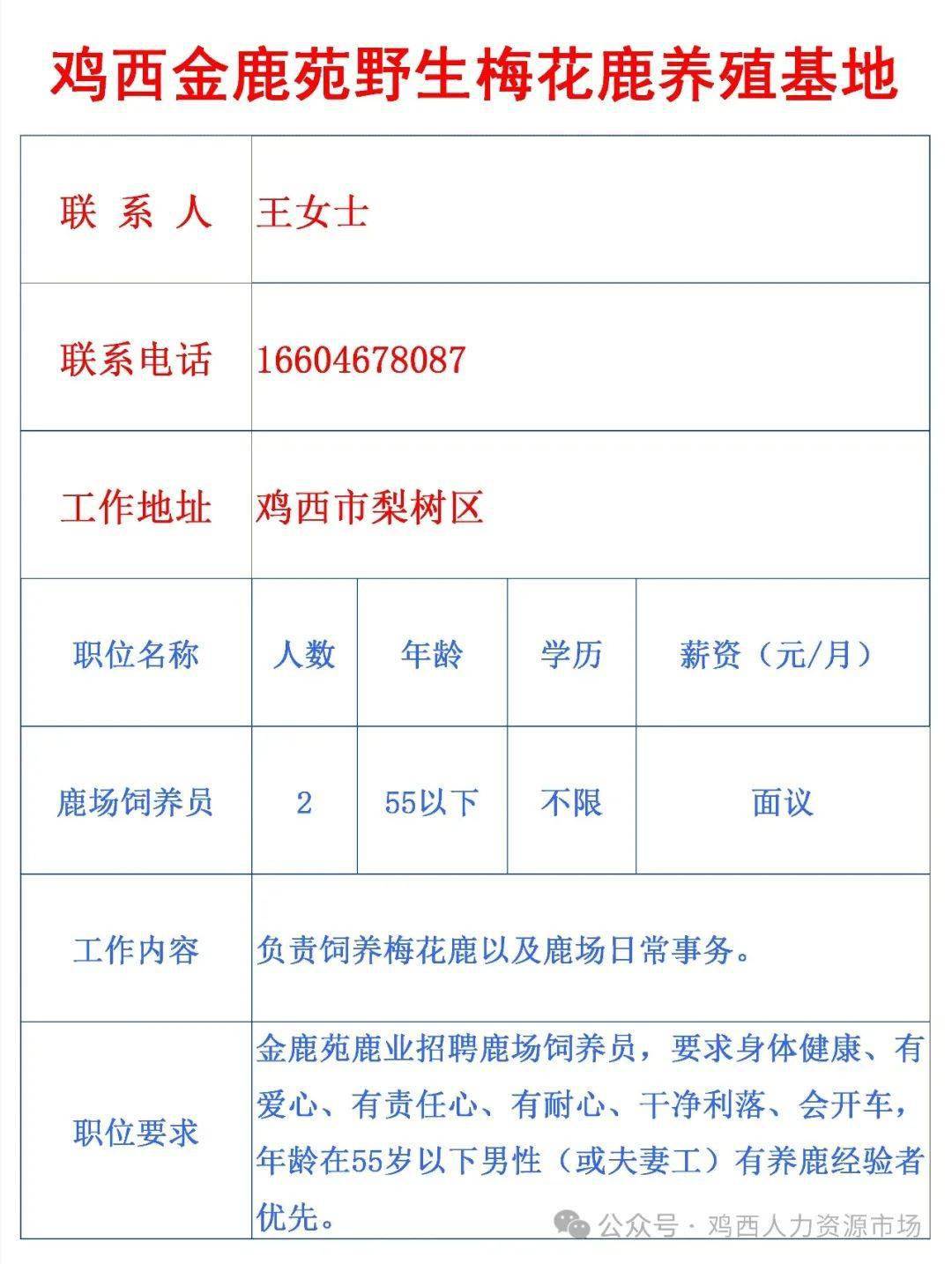 劳动创造幸福鸡西市2024年兴凯湖畔就业筑梦专场招聘会