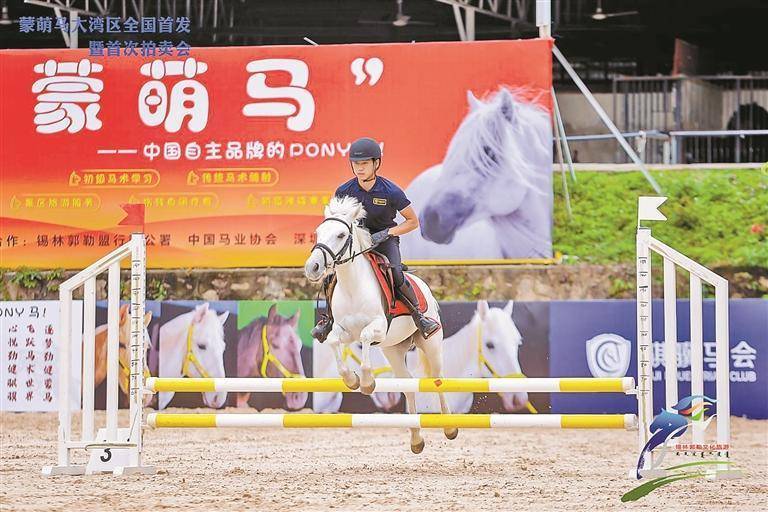 "蒙萌马"亮相深圳寻找"新赛道"_马术_活动_调教