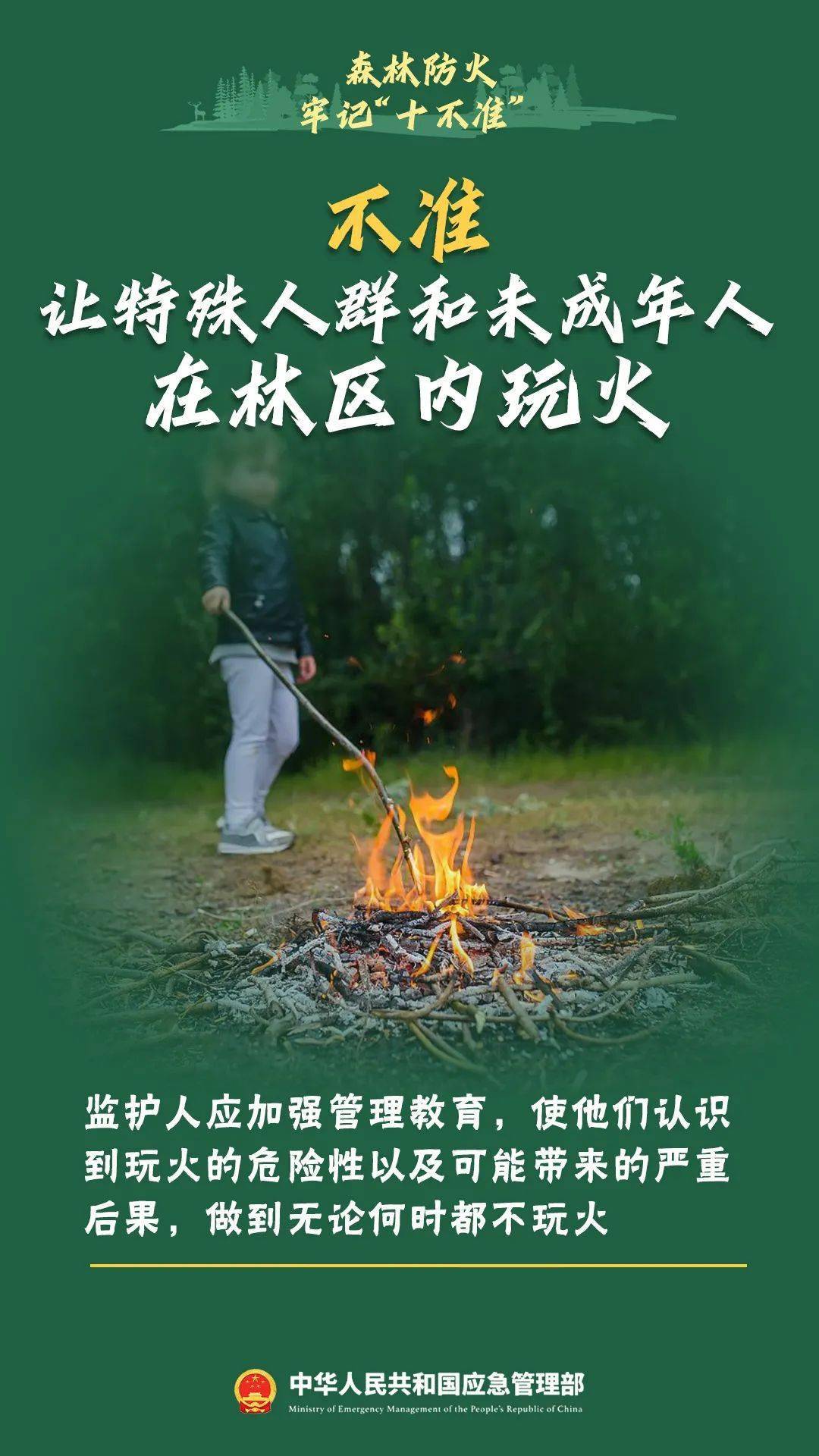 森林草原防火正当时,这些要点必须知道→_处置_救助_破坏性