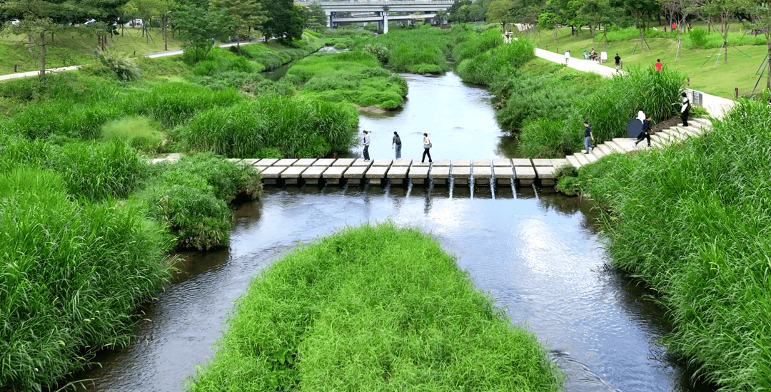 春分至西岸哲学步道大沙河原来如此深刻