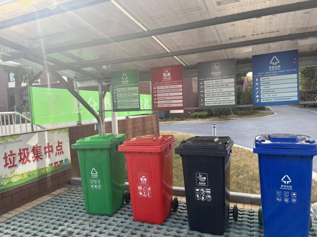 快看,这些学校吹来了"绿色校园风"!_分类_垃圾_活动