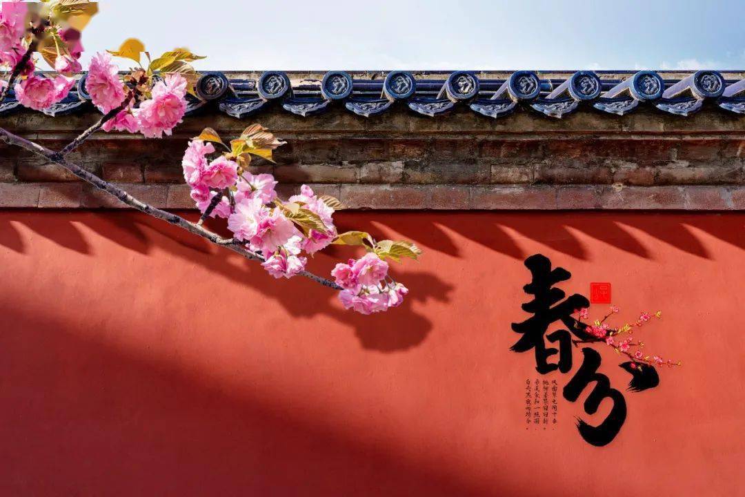 今日春分这些描写春天的古诗你都会背吗诗情画意美得令人心醉