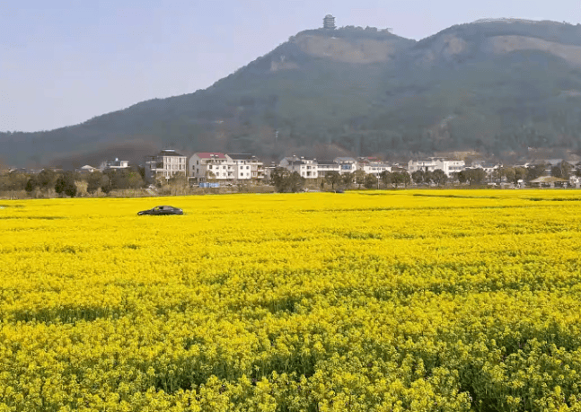 到河口村>积道山康养小镇>左转到平阳村>金华海亮外国语学校(终点)