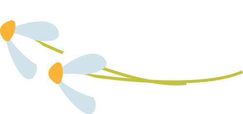 春日限定邀您共赏滨江春日美景感受校园魅力