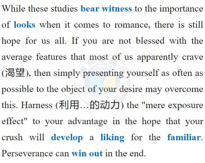 长相越普通为什么越有吸引力