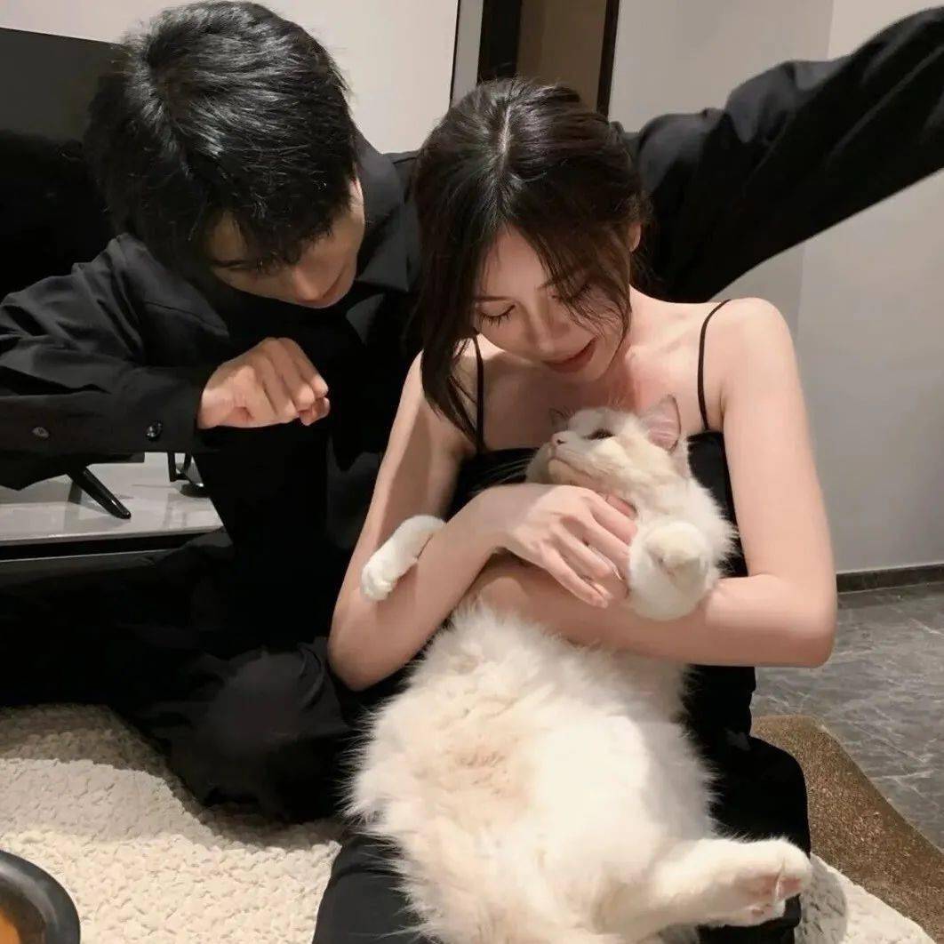 头像丨不开心就换个头像吧