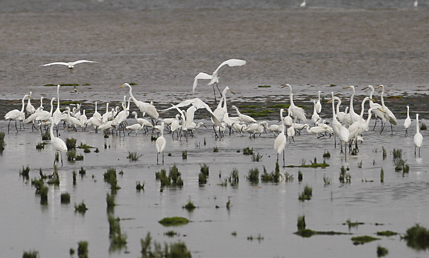 佳木斯:以"16810"打造美丽中国"东极"样板_生态_环境_建设