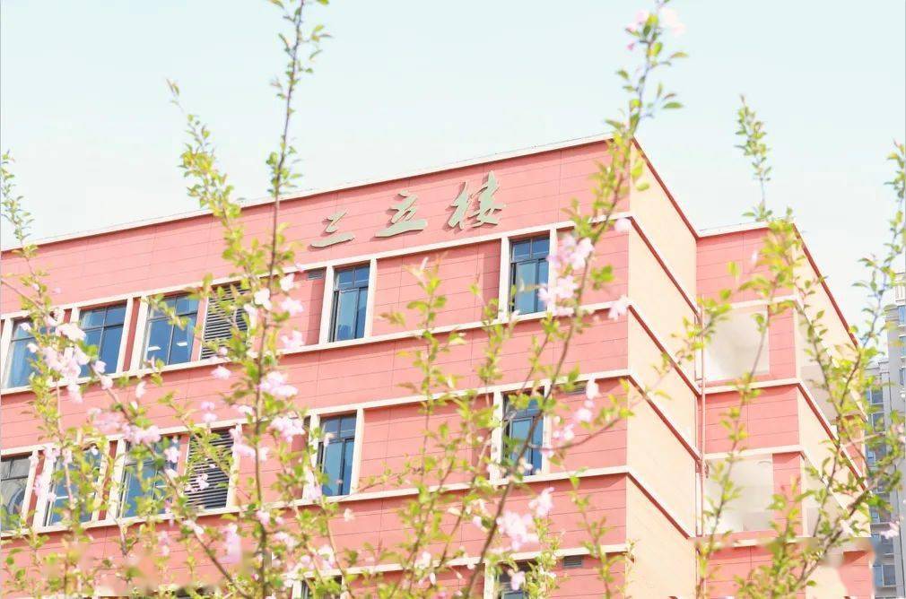 嫩叶滴翠书香墨韵与自然之美交融令人心旷神怡天元中学正是人间最美