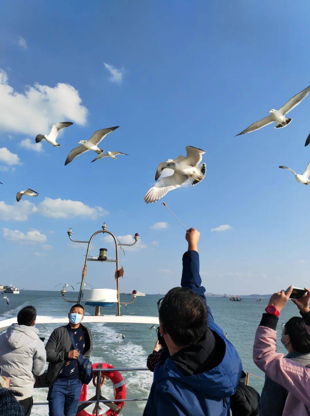 海边喂海鸥的图片图片