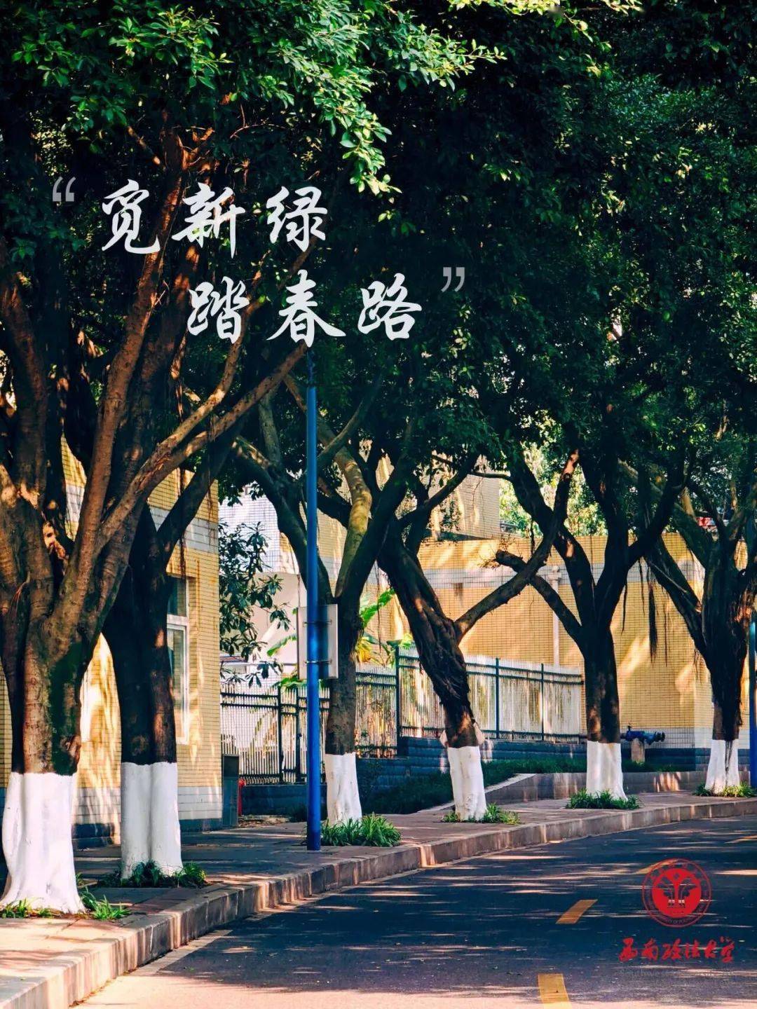 杨林菡_茂益_树影