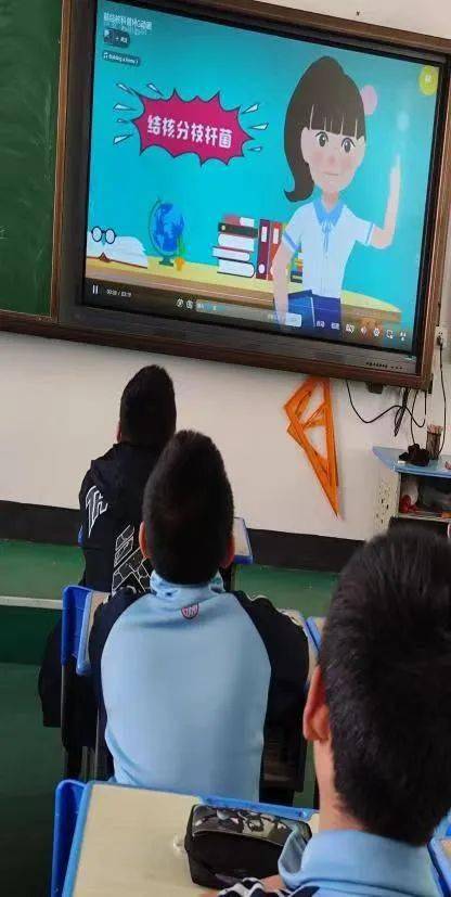 七台河市教育局组织全市学校开展世界防治结核病日宣传教育活动